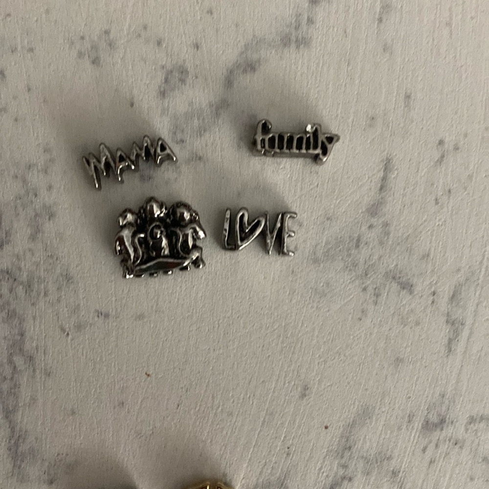 Set of 4 Origami owl charms family themed